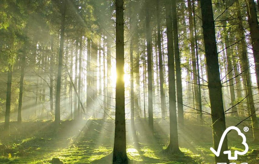 Bosques Sostenibles