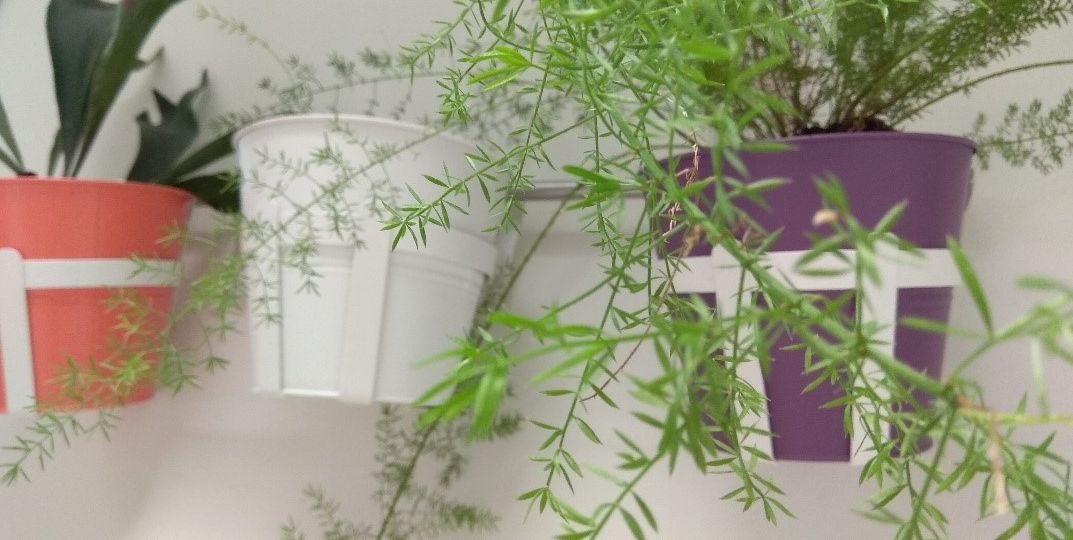 eco-friendly 2