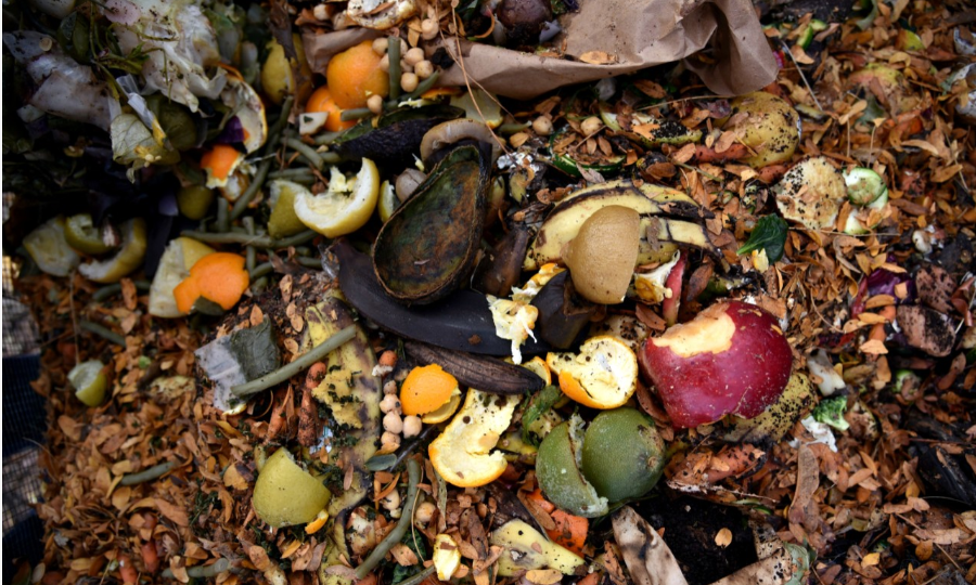 only compost